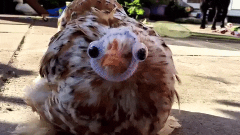 There Is A Line Where Science Should Stop