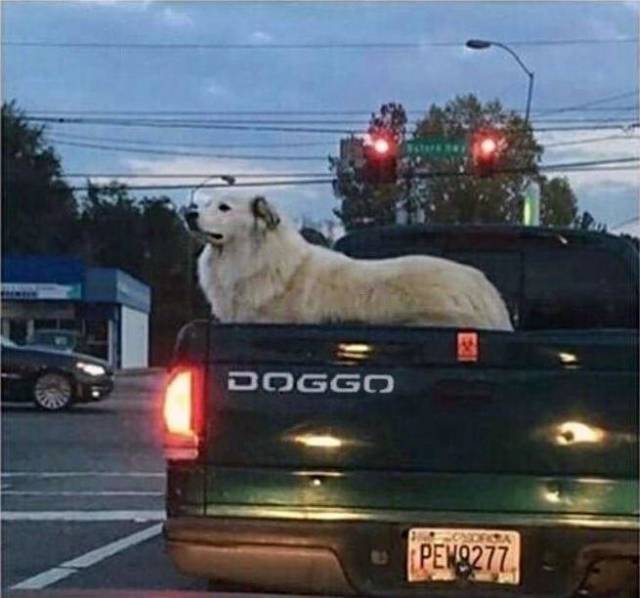 Daily Picdump [WEEKEND EDITION]