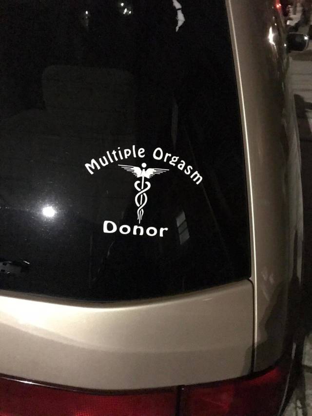 Daily Picdump [WEEKEND EDITION]