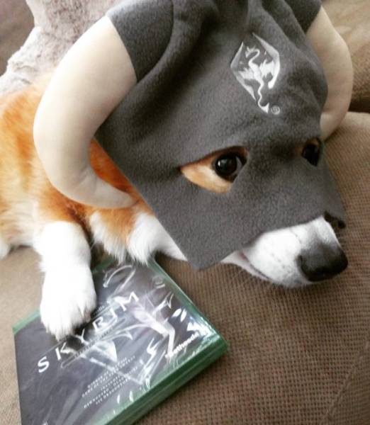 Games Are Here To Take You With ‘Em