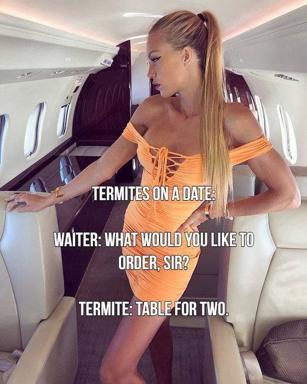 These Girls Know Something About Humor