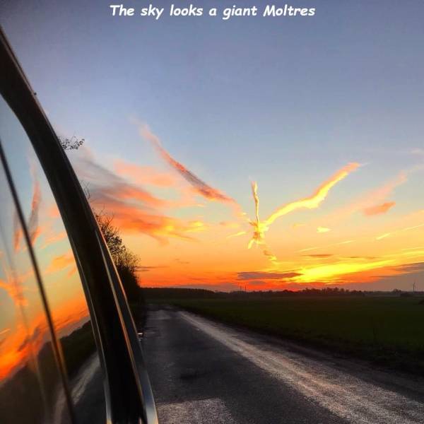 daily picdump 101 pics 8.html - 101 HD Photos | Premium Gallery 2018