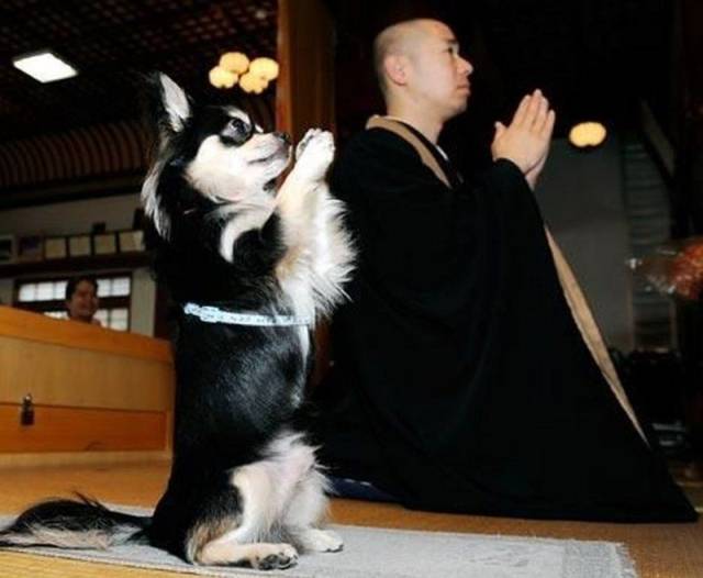 daily picdump 101 pics 8.html - 101 HD Photos | Premium Gallery 2018