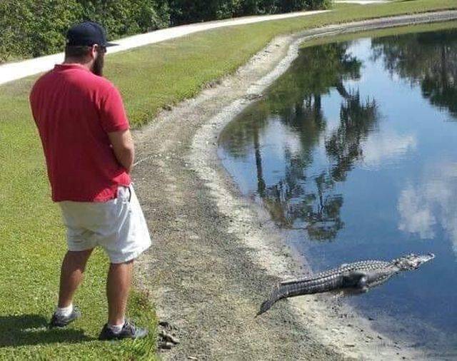 daily picdump 101 pics 8.html - 101 HD Photos | Premium Gallery 2018