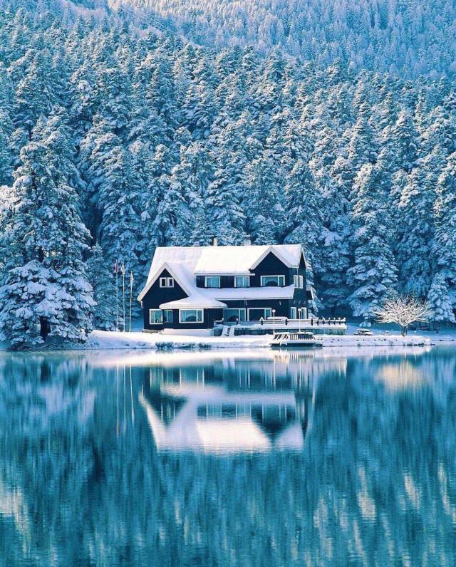 daily picdump 101 pics 8.html - 101 HD Photos | Premium Gallery 2018