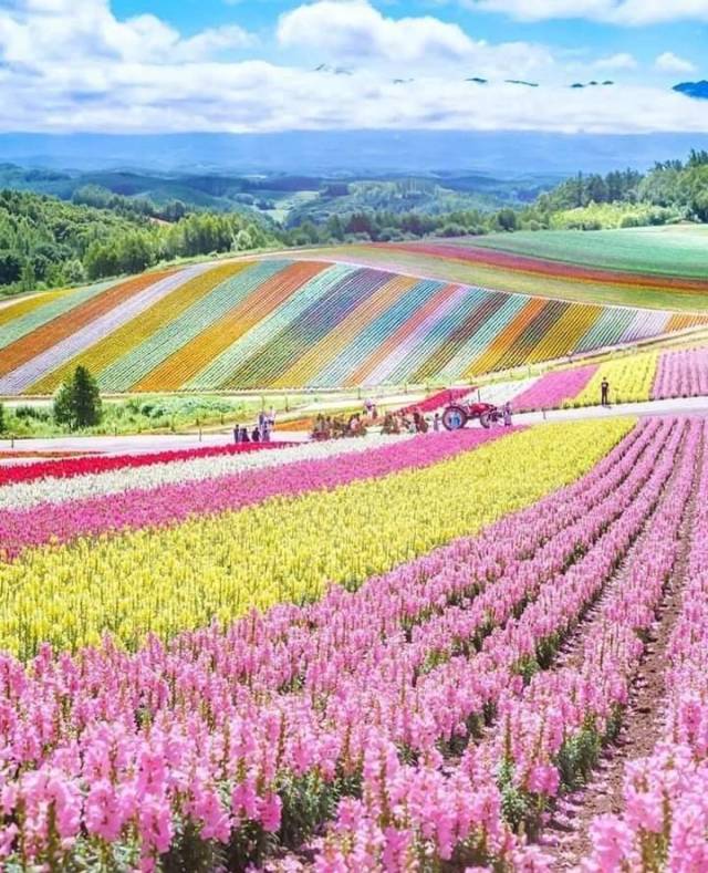 daily picdump 101 pics 8.html - 101 HD Photos | Premium Gallery 2018