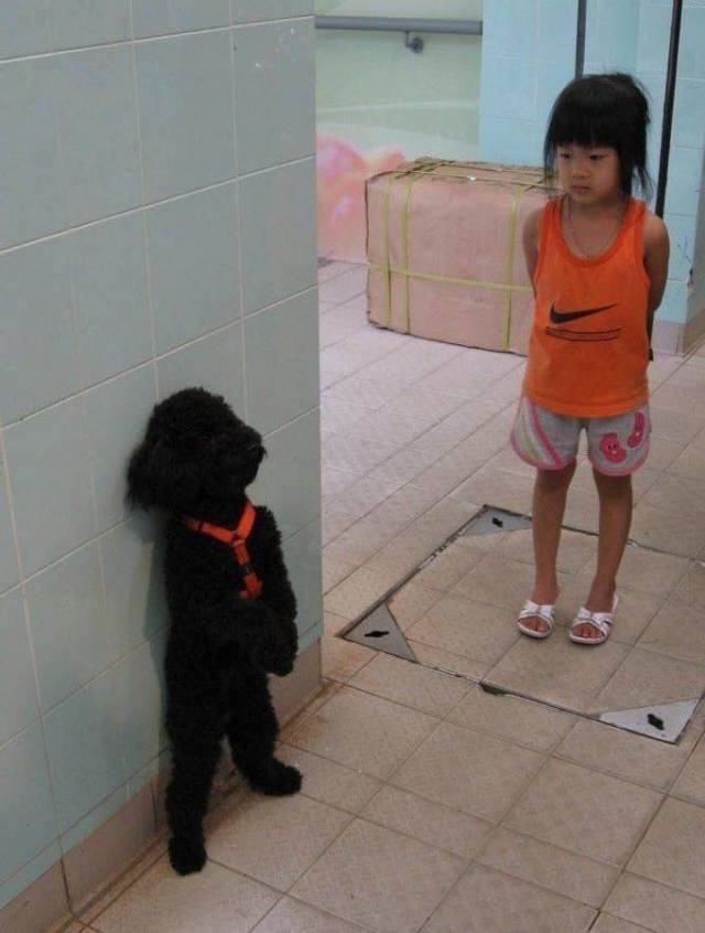 daily picdump 101 pics 8.html - 101 HD Photos | Premium Gallery 2018