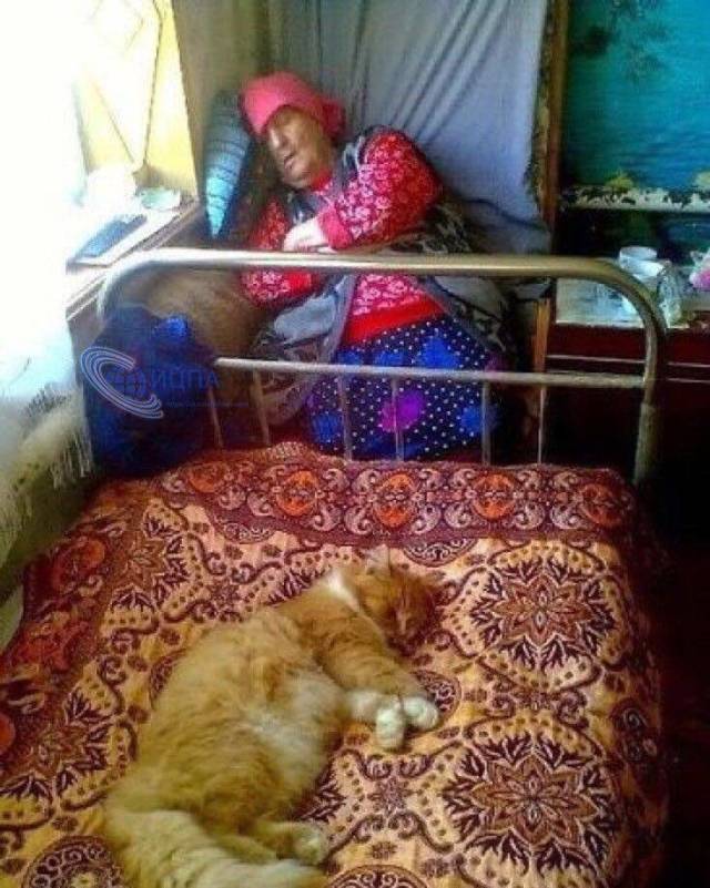 daily picdump 101 pics 8.html - 101 HD Photos | Premium Gallery 2018