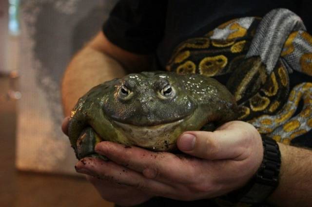 daily picdump 96 pics 21.html - 96 HD Photos | Premium Gallery 2018