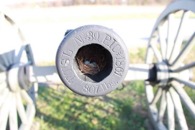 daily picdump 96 pics 21.html - 96 HD Photos | Premium Gallery 2018