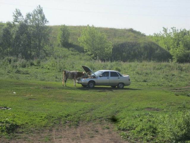 daily picdump 96 pics 21.html - 96 HD Photos | Premium Gallery 2018