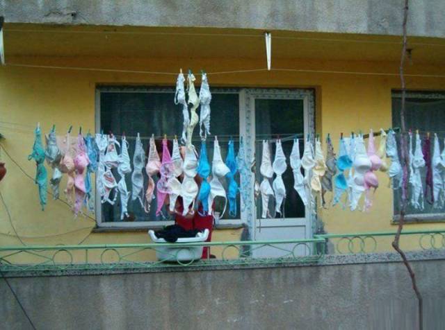 daily picdump 96 pics 21.html - 96 HD Photos | Premium Gallery 2018