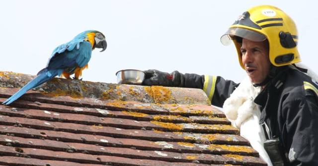 daily picdump 96 pics 21.html - 96 HD Photos | Premium Gallery 2018