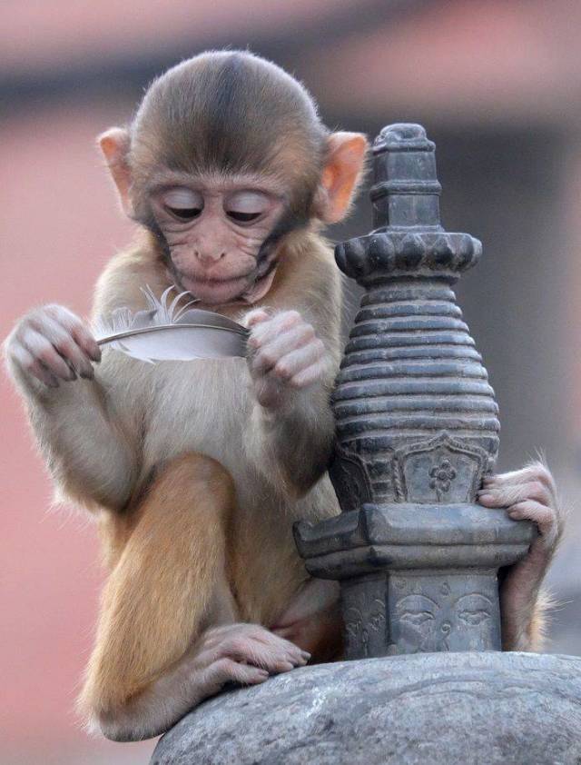 daily picdump 96 pics 21.html - 96 HD Photos | Premium Gallery 2018