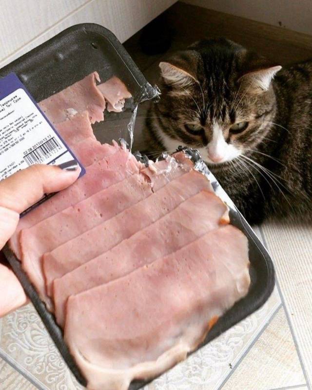 daily picdump 96 pics 21.html - 96 HD Photos | Premium Gallery 2018