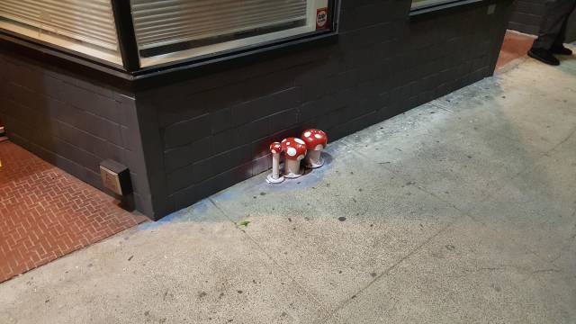 morning picdump 51 pics 13.html - 51 HD Photos | Premium Gallery 2018