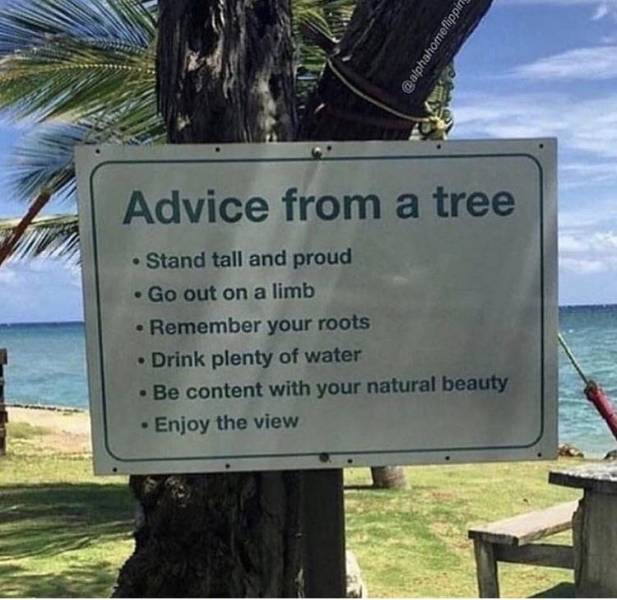 morning picdump 51 pics 13.html - 51 HD Photos | Premium Gallery 2018