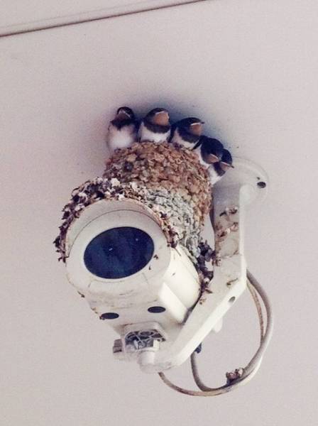 morning picdump 51 pics 13.html - 51 HD Photos | Premium Gallery 2018