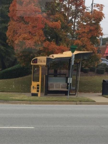 morning picdump 51 pics 13.html - 51 HD Photos | Premium Gallery 2018