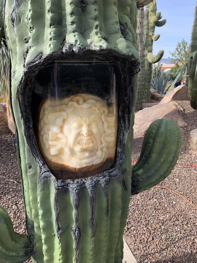 morning picdump 51 pics 13.html - 51 HD Photos | Premium Gallery 2018