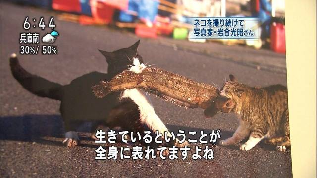 daily picdump 97 pics 8.html - 97 HD Photos | Premium Gallery 2018