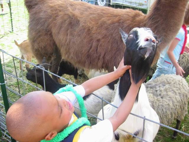 daily picdump 97 pics 8.html - 97 HD Photos | Premium Gallery 2018