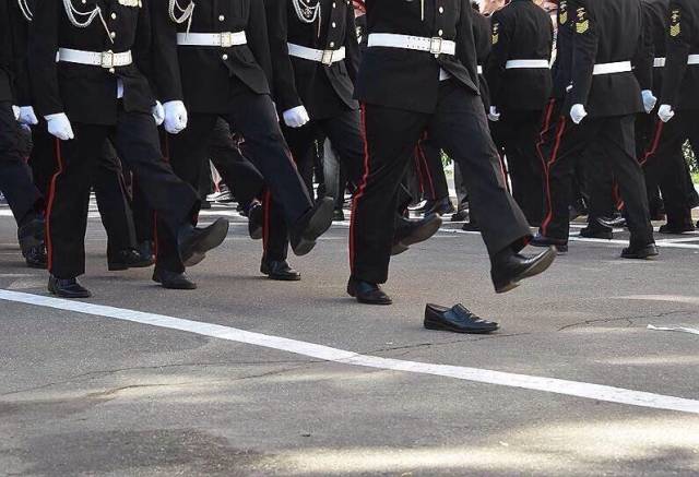 daily picdump 97 pics 8.html - 97 HD Photos | Premium Gallery 2018