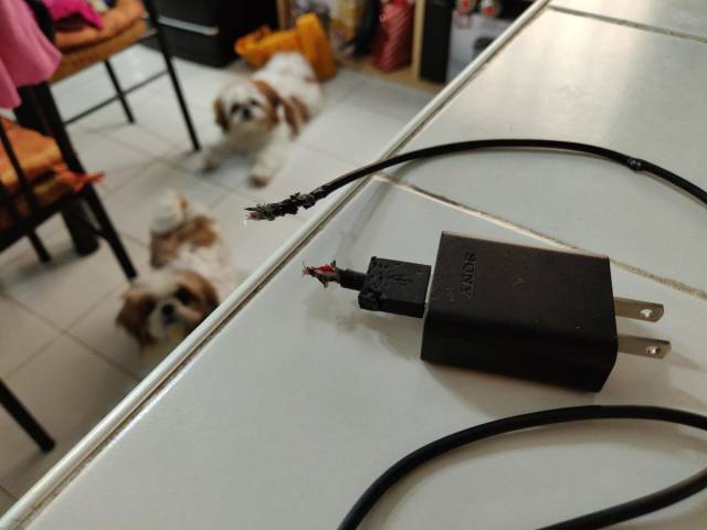 daily picdump 97 pics 8.html - 97 HD Photos | Premium Gallery 2018