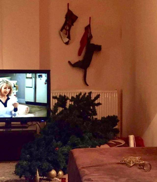 daily picdump 97 pics 8.html - 97 HD Photos | Premium Gallery 2018