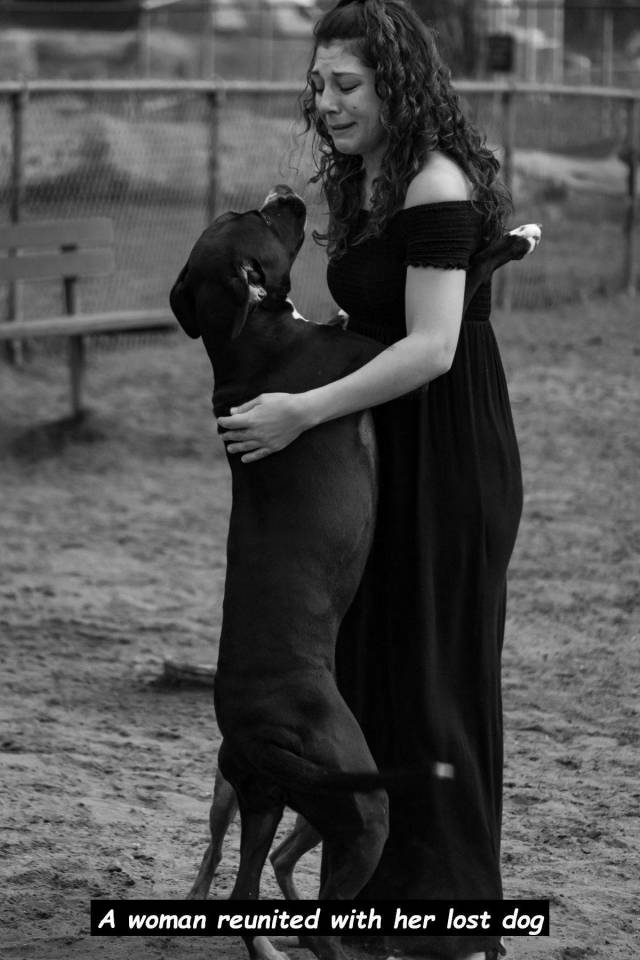 daily picdump 97 pics 8.html - 97 HD Photos | Premium Gallery 2018