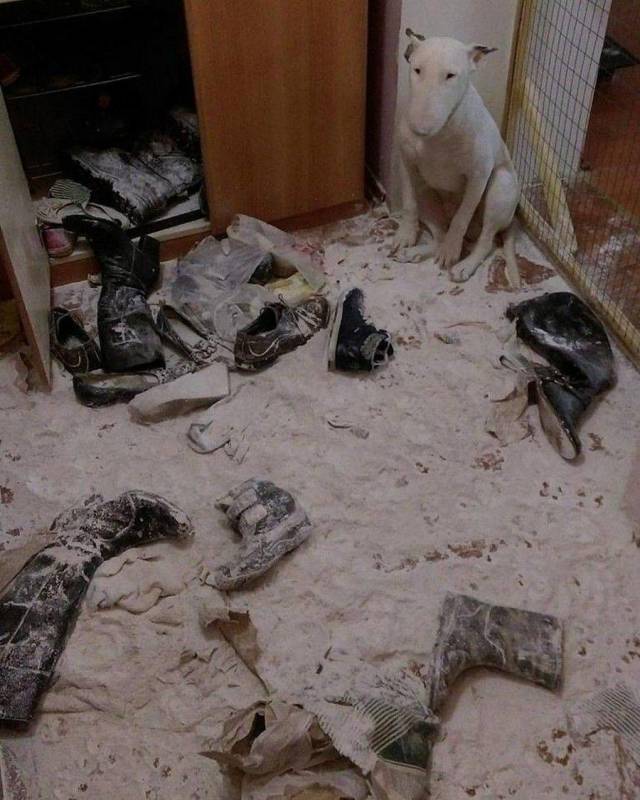 daily picdump 97 pics 8.html - 97 HD Photos | Premium Gallery 2018