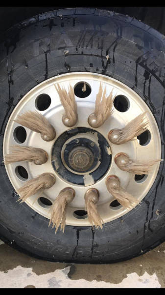 morning picdump 52 pics 49.html - 52 HD Photos | Premium Gallery 2018