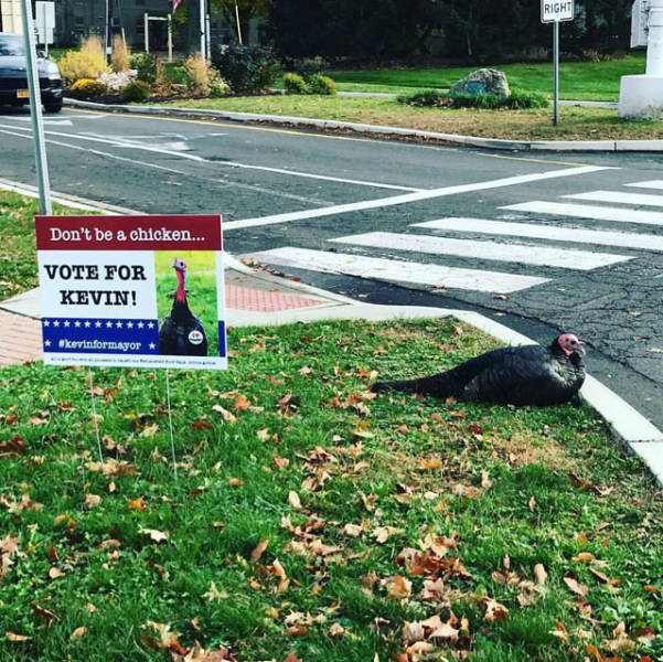 morning picdump 52 pics 49.html - 52 HD Photos | Premium Gallery 2018