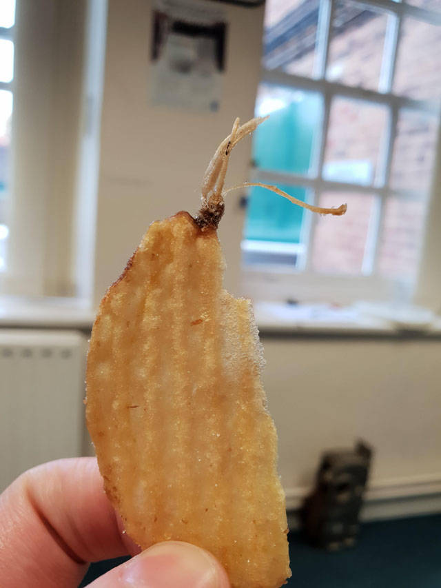 morning picdump 52 pics 49.html - 52 HD Photos | Premium Gallery 2018