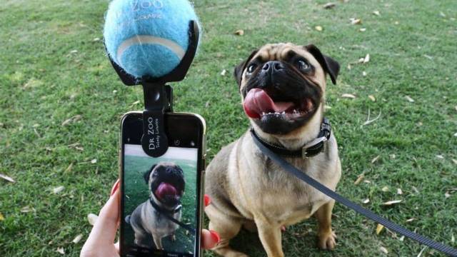 daily picdump 96 pics 17.html - 96 HD Photos | Premium Gallery 2018