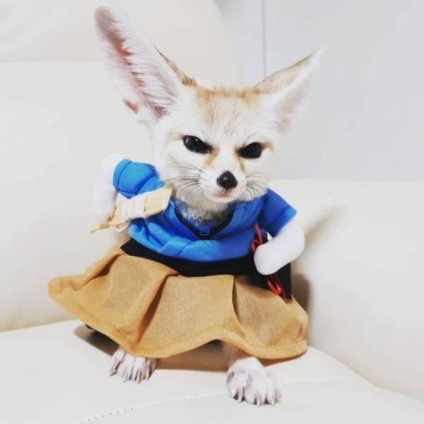 daily picdump 96 pics 17.html - 96 HD Photos | Premium Gallery 2018