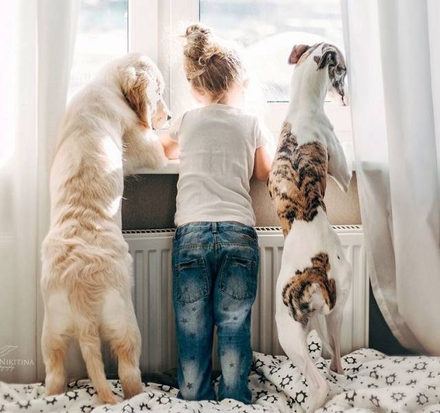 daily picdump 96 pics 17.html - 96 HD Photos | Premium Gallery 2018