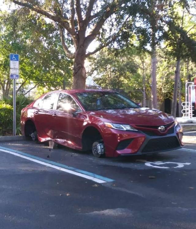 daily picdump 96 pics 17.html - 96 HD Photos | Premium Gallery 2018