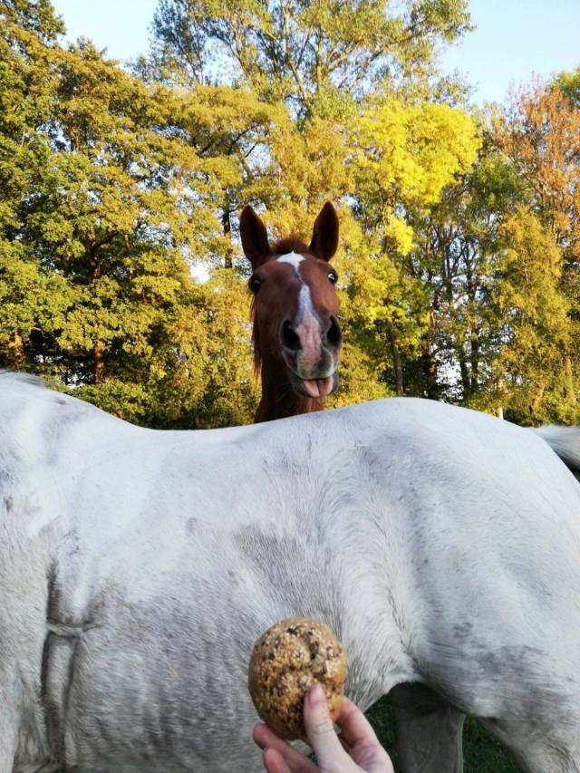 daily picdump 96 pics 17.html - 96 HD Photos | Premium Gallery 2018