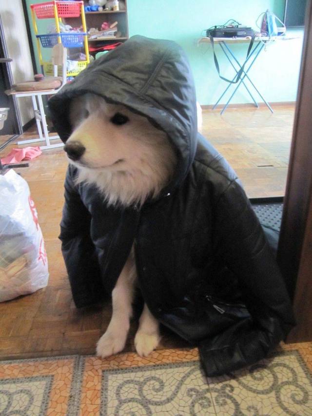 daily picdump 96 pics 17.html - 96 HD Photos | Premium Gallery 2018