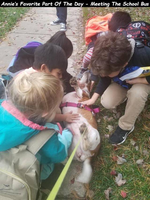 daily picdump 96 pics 17.html - 96 HD Photos | Premium Gallery 2018