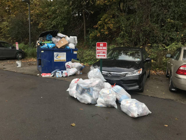 morning picdump 50 pics 11.html - 50 HD Photos | Premium Gallery 2018