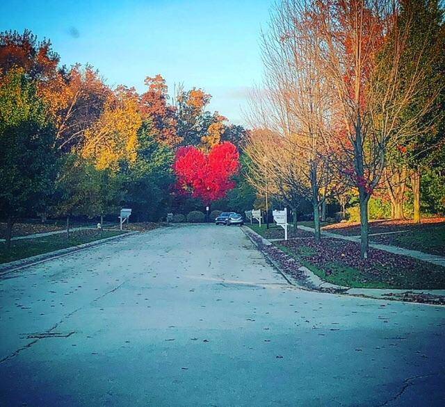 morning picdump 50 pics 11.html - 50 HD Photos | Premium Gallery 2018