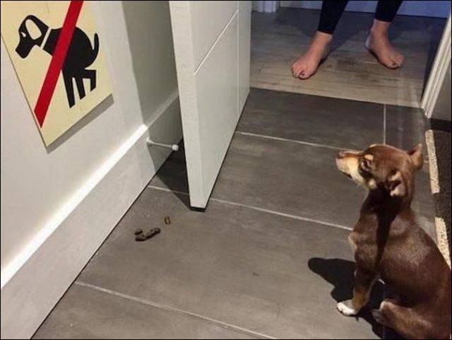 daily picdump 99 pics 5.html - 99 HD Photos | Premium Gallery 2018