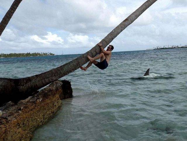 daily picdump 99 pics 5.html - 99 HD Photos | Premium Gallery 2018