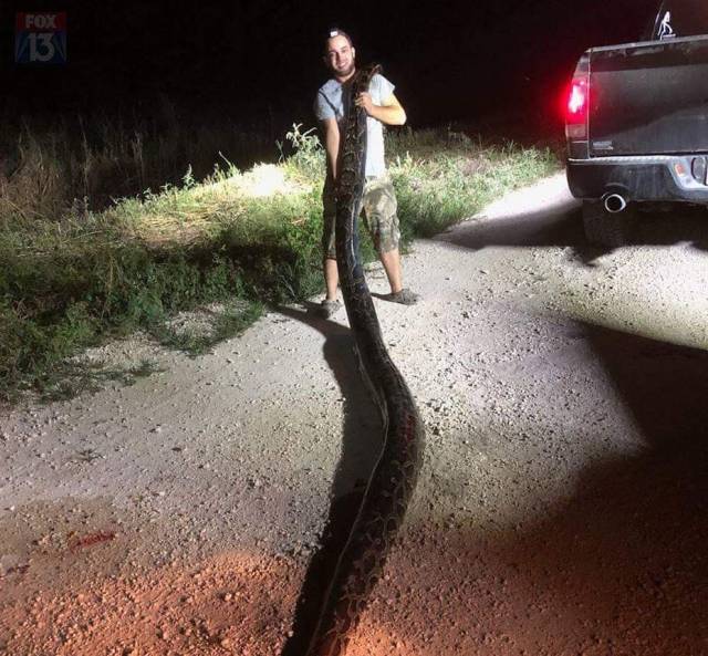 daily picdump 99 pics 5.html - 99 HD Photos | Premium Gallery 2018