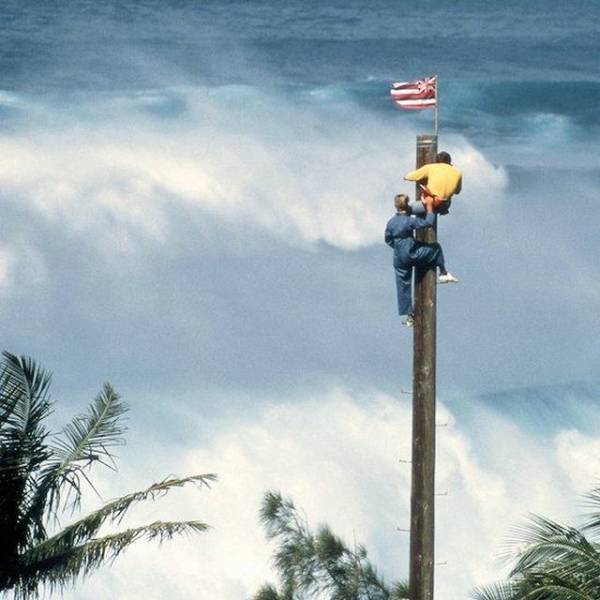 daily picdump 99 pics 5.html - 99 HD Photos | Premium Gallery 2018