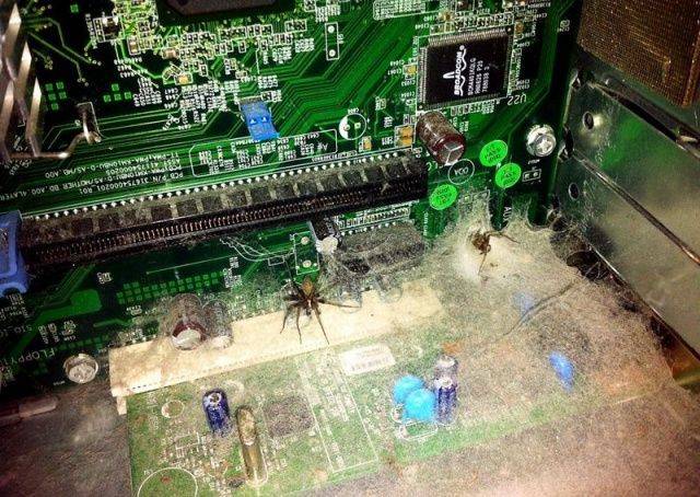 daily picdump 99 pics 5.html - 99 HD Photos | Premium Gallery 2018