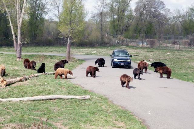 daily picdump 99 pics 5.html - 99 HD Photos | Premium Gallery 2018