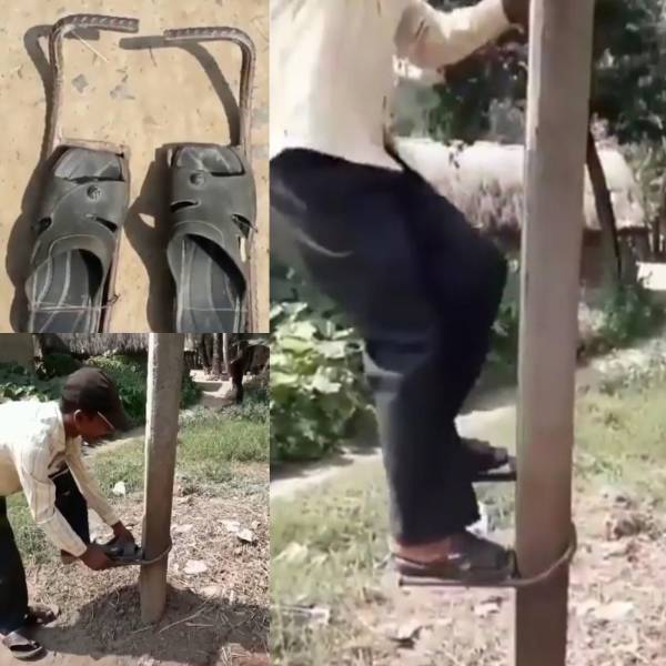 daily picdump 99 pics 5.html - 99 HD Photos | Premium Gallery 2018